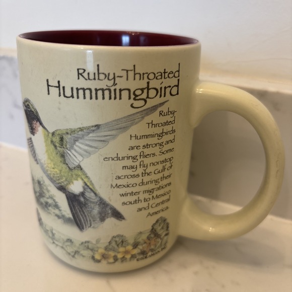 Ruby-Throated Hummingbird 16oz Novelty Coffee Mug by Ideaman - Picture 1 of 9